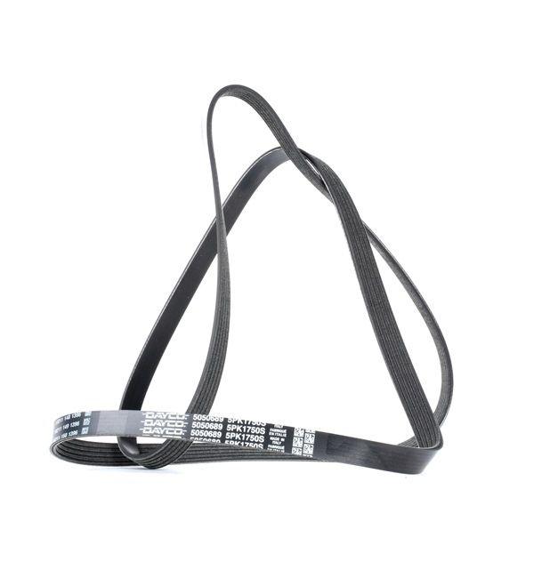 Serpentine Belt Renault