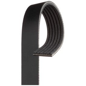 GTS Serpentine Belt Alfa Romeo - Fiat - Other Brands