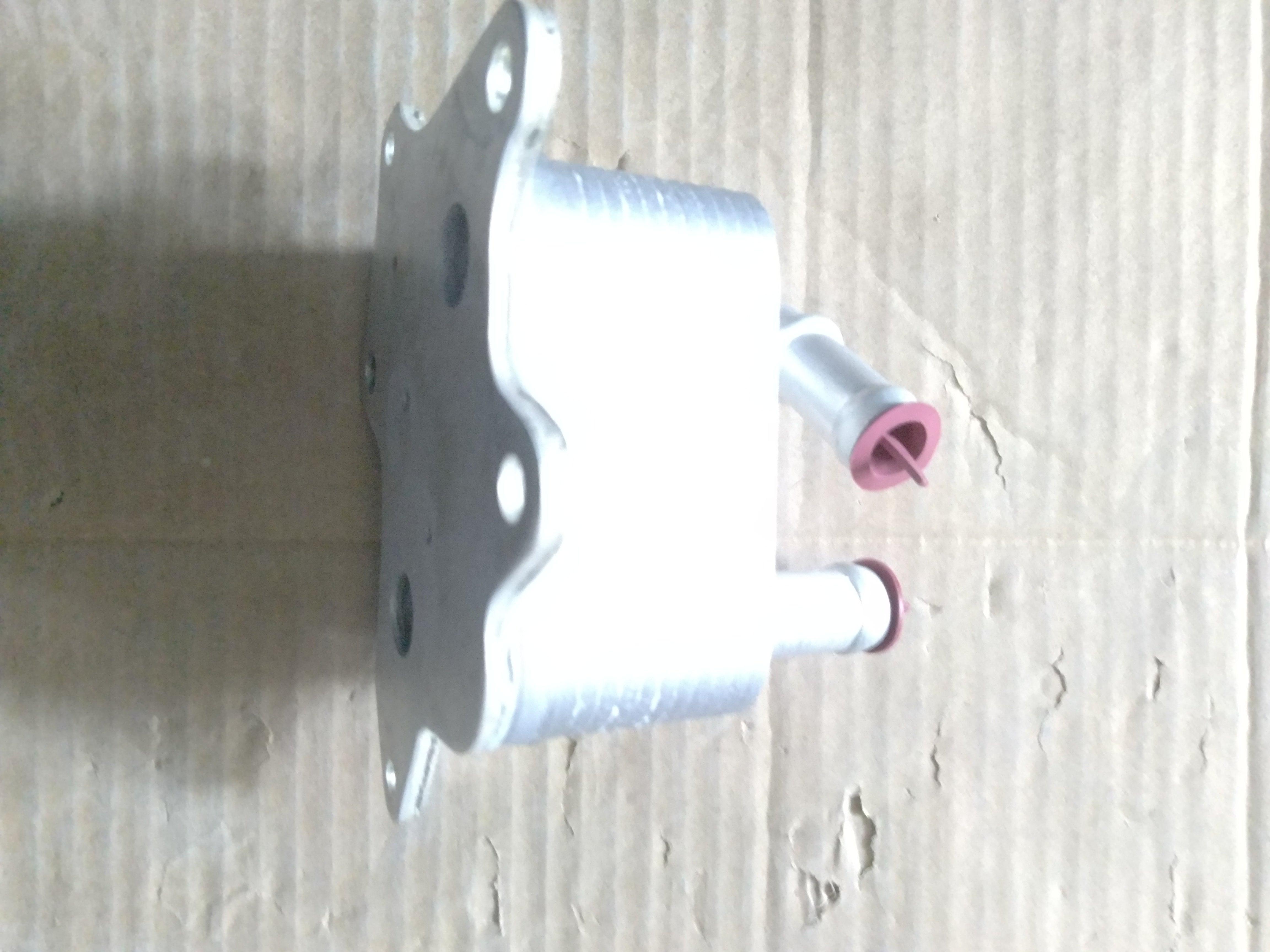 F4J161013010