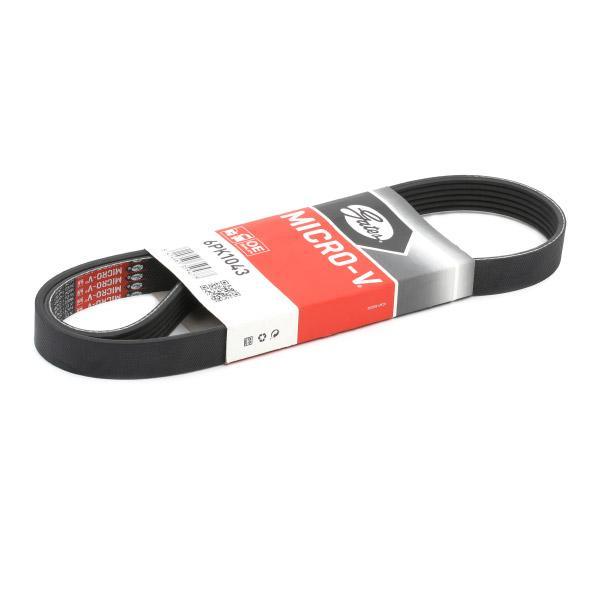 V-Ribbed Alternator Belt Gates Compatible With Skoda A5 - Fantasia - VW Jetta - N Auto Express